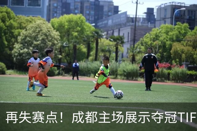 再失赛点！成都主场展示夺冠TIFO 主帅无奈目送对手破门(图)