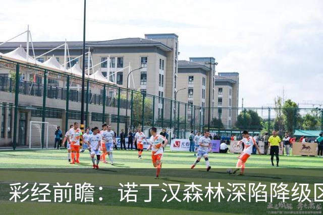 彩经前瞻：诺丁汉森林深陷降级区，布伦特福德主场力争三分